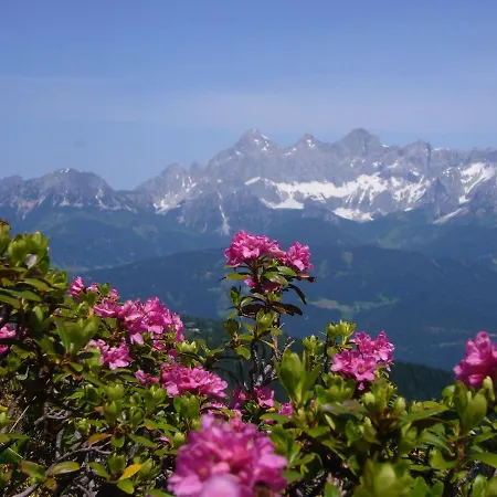 Apartment Wiesbach Ramsau am Dachstein