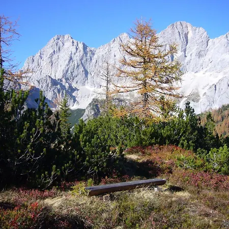 Wiesbach Ramsau am Dachstein