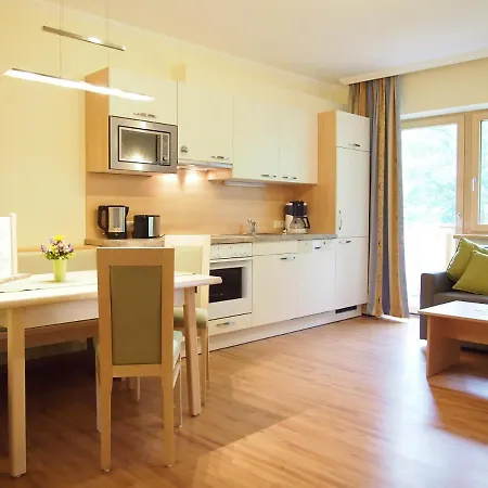 Wiesbach Apartment Ramsau am Dachstein