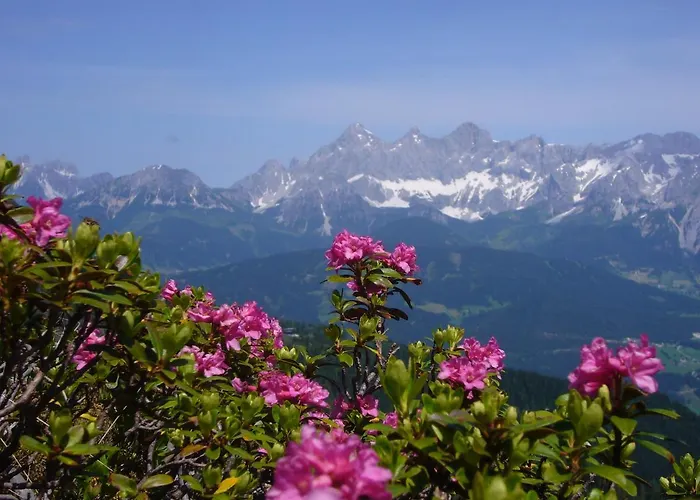 Apartman Wiesbach Ramsau am Dachstein